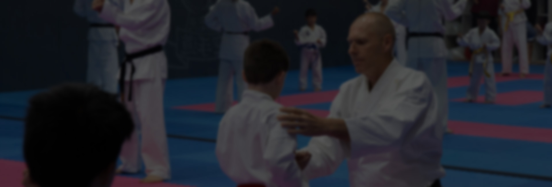 Goju Kai Karate Bayside